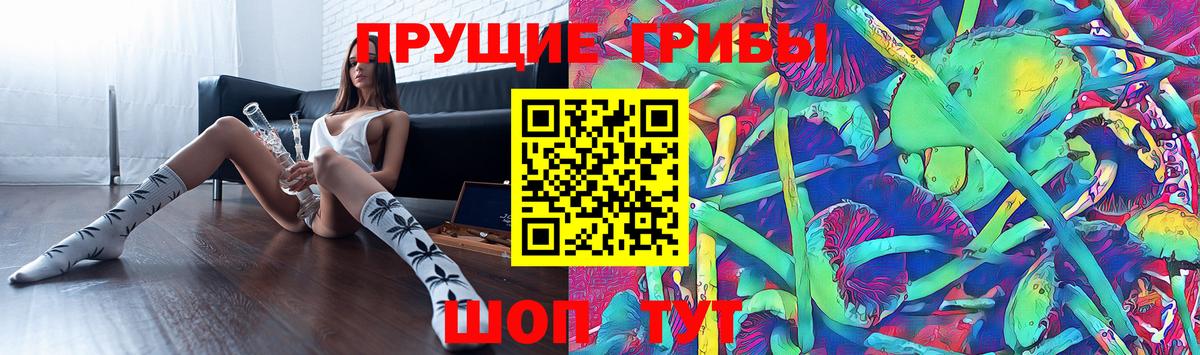 Псилоцибиновые грибы Cubensis Муром